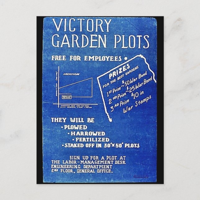 Carte Postale Parcelles De Jardin Victory, Gratuit Pour Les Empl (Devant)