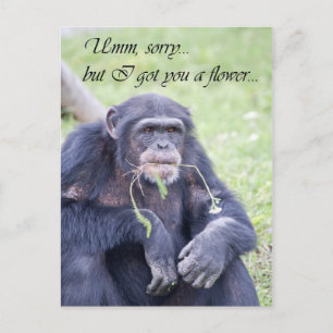 Carte Postale Pardon