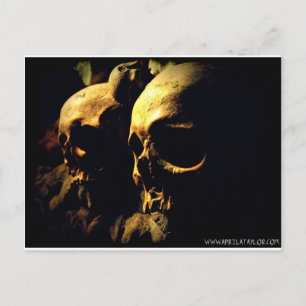 Carte Postale Paris Catacombes par April A Taylor