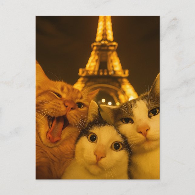 Carte Postale Paris Night Cat Selfie Squad Lover                 (Devant)