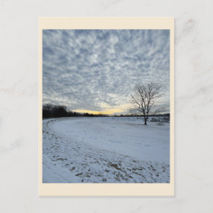 Carte postale Park Winter Sunset