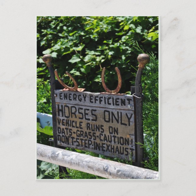 Carte Postale Parking Amish (Devant)