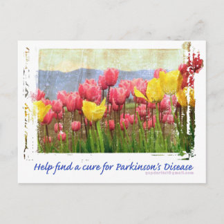 Carte Postale Parkinsons Maladie Champ de tulipes