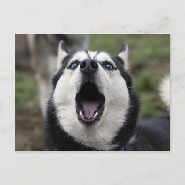 Carte Postale parlant (Devant)