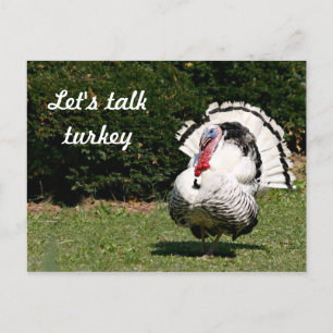 Carte Postale Parlons dinde