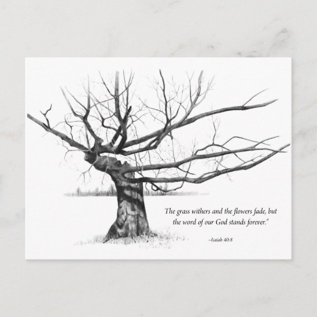 Carte Postale Parole De Dieu Pour Toujours : Arbre nardé au cray (Devant)