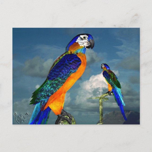 CARTE POSTALE PARROS HYPER / BLEUE ARA (Devant)