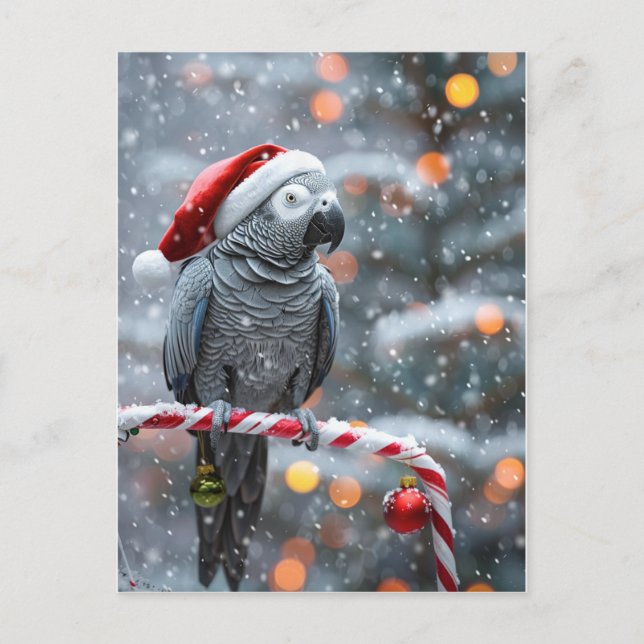 Carte Postale Parrot Holiday Card — Winter Wonder  (Devant)