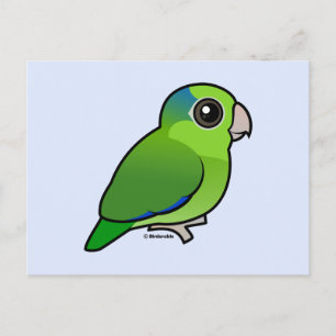 Carte Postale Parrotlet Pacifique vert