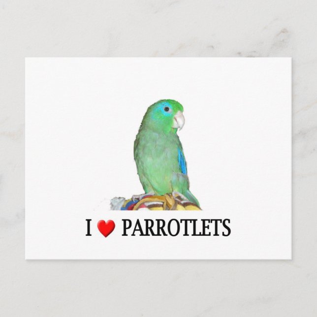 Carte Postale Parrotlets "coeur" (Devant)