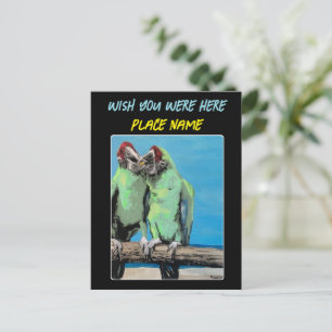 Carte Postale "Parrots de plage" Tableau sur un