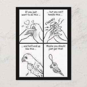 Carte Postale Parrots do bite