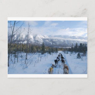 Carte Postale ParrotSleds - Paysage