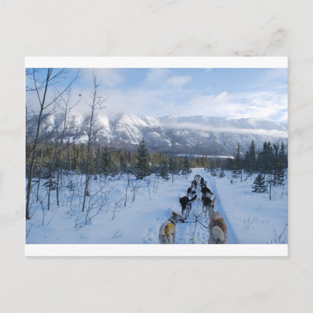 Carte Postale ParrotSleds - Paysage (Devant)