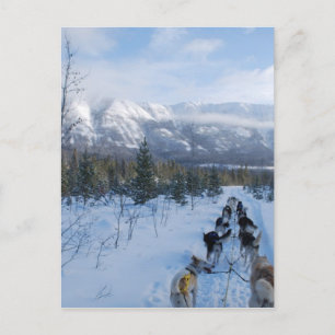 Carte Postale ParrotSleds - Paysage
