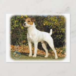 Carte Postale Parson Russell Terrier 9T016D-223