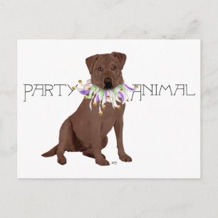 Carte Postale Parti Retriever du Labrador Chocolat