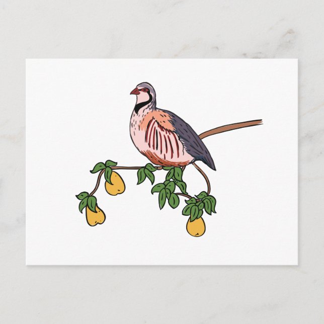 Carte Postale Partridge dans un arbre à poires (Devant)