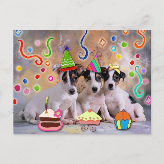 Carte Postale Party animals, dogs celebrating (Devant)