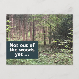 Carte Postale Pas encore sorti des bois Quarantaine dans la natu