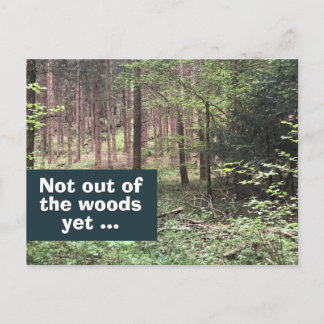 Carte Postale Pas encore sorti des bois Quarantaine dans la natu