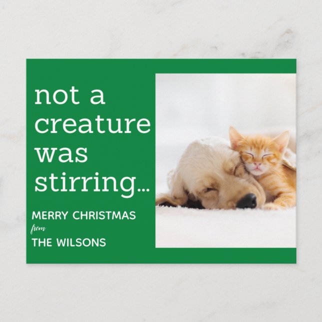 Carte Postale pas une créature ne remuait des photos vertes noël (Devant)