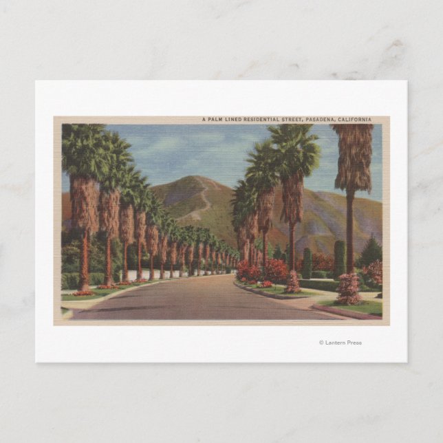 Carte Postale Pasadena, CA - Scène de rue résidentielle & Palms (Devant)