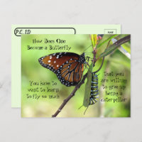 Passage à niveau - Monarque papillon & Caterpillar