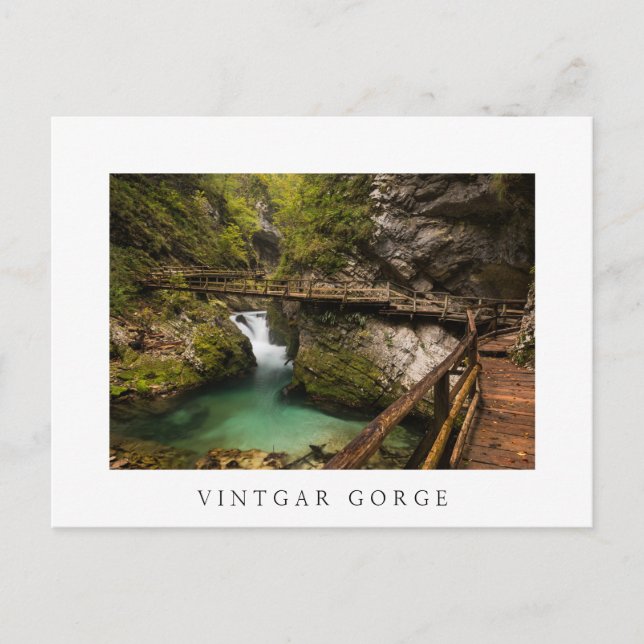 Carte Postale Passage couvert en bois par le canyon de gorge de (Devant)