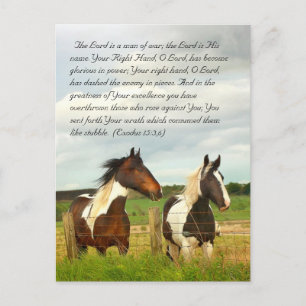 Carte Postale Passage de la Bible, Beaux chevaux