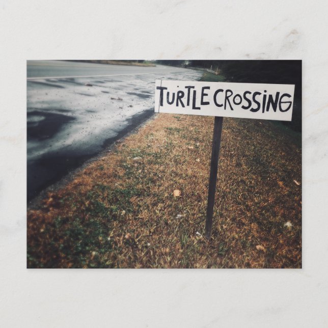 Carte Postale passage des tortues (Devant)