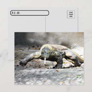 Carte Postale Passage - Komodo Dragon Venant Pour Vous
