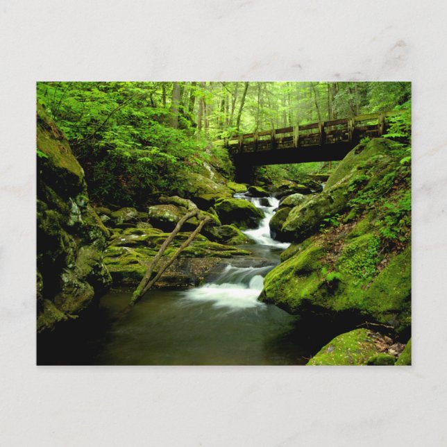 Carte Postale Passerelle au-dessus de la fourche rouverte (Devant)