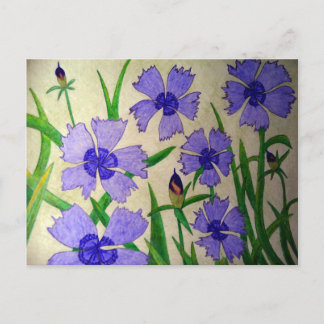 Carte Postale Passion violette