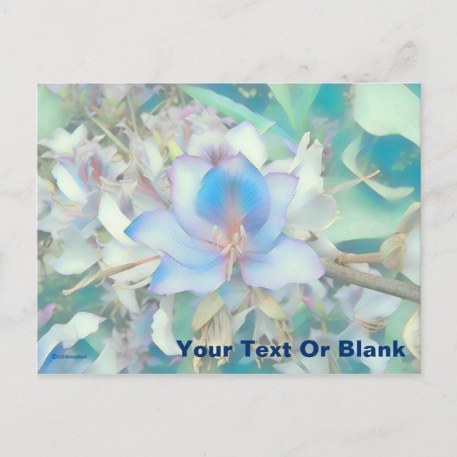 Carte Postale Pastel Blue Blossom (Devant)