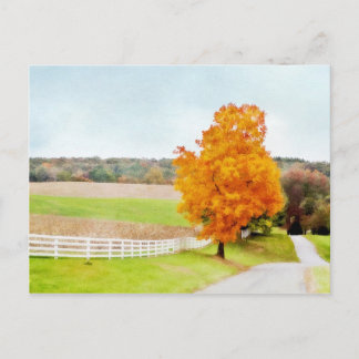 Carte Postale Pasture d'automne