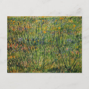 Carte Postale Pasture en fleurs par Vincent van Gogh
