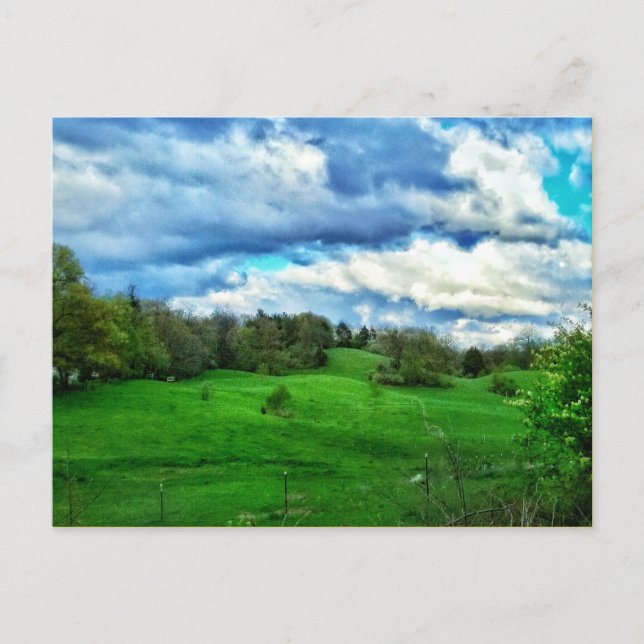 CARTE POSTALE PASTURE HILLSIDE (Devant)