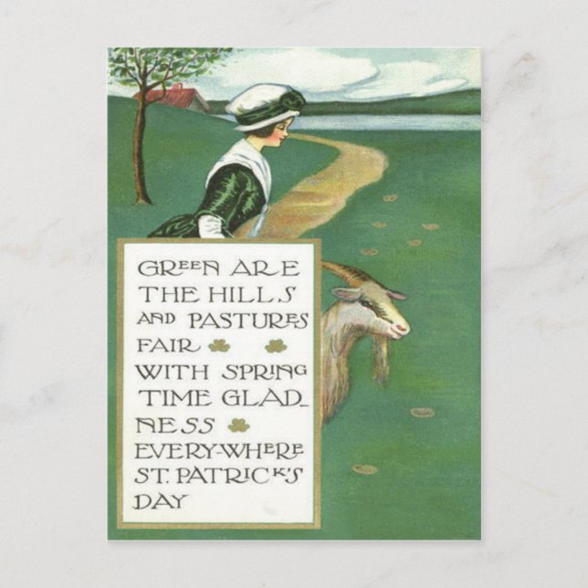 Carte Postale Pasture irlandaise de chèvre (Devant)