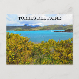 Carte Postale patagonie jaune