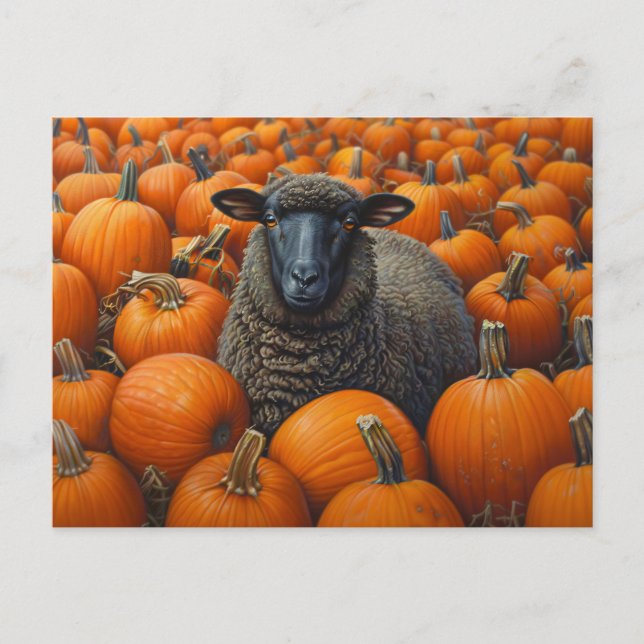 Carte Postale Patch Citrouille d'automne du mouton noir (Devant)