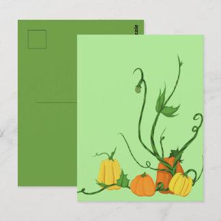 Carte Postale Patch de citrouilles