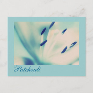 Carte postale Patchouli Lily Art numérique floral