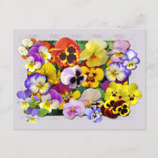 CARTE POSTALE PATCHWORK PANSY