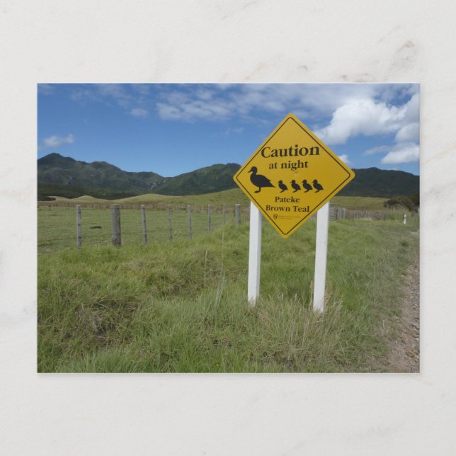 Carte postale Pateke Sign 3 (Devant)