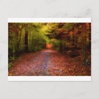 Carte Postale Paths en Nature