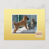 Patience, sauterelle.