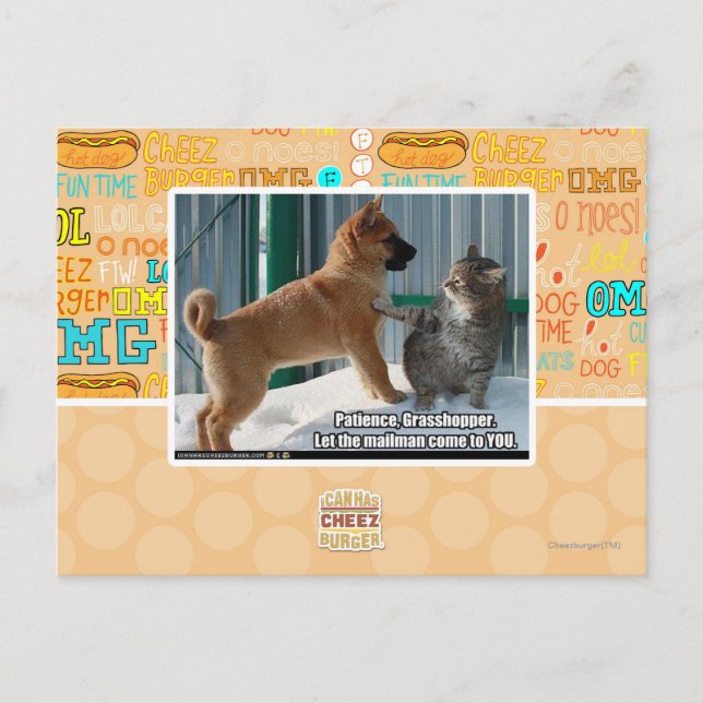 Carte Postale Patience, sauterelle. (Devant)