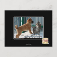 Patience, sauterelle.