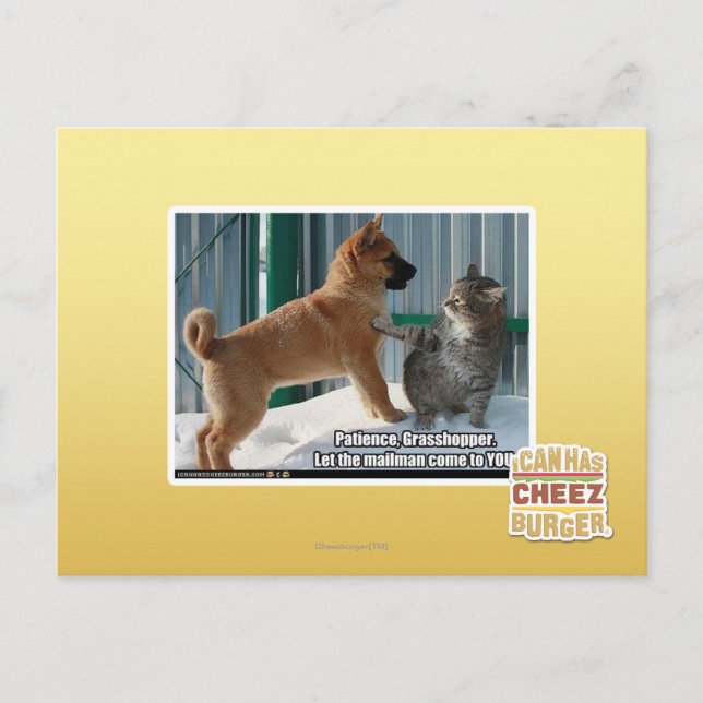 Carte Postale Patience, sauterelle. (Devant)